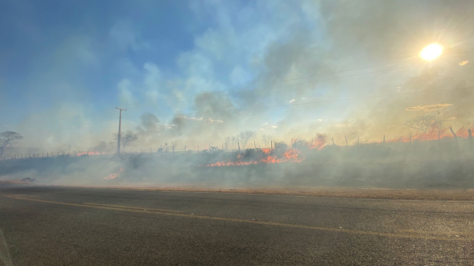 Incêndio de grandes proporções atinge vegetação às margens da BA-120 em Queimadas