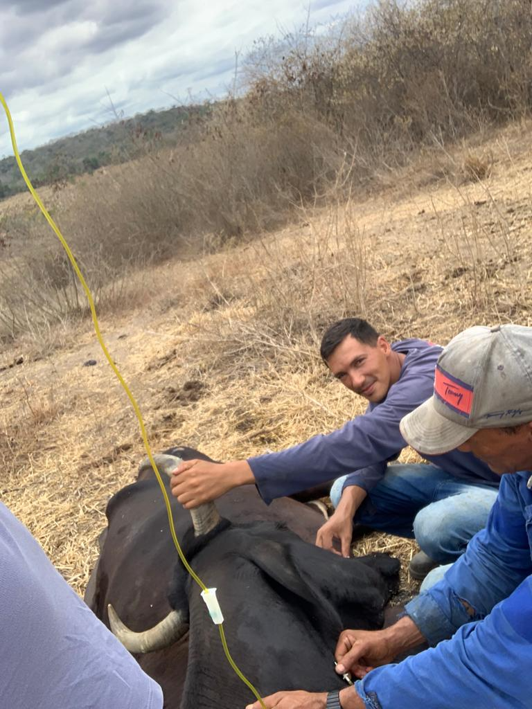 ‘Não chove há um ano’: cidades baianas sofrem com emergência hídrica