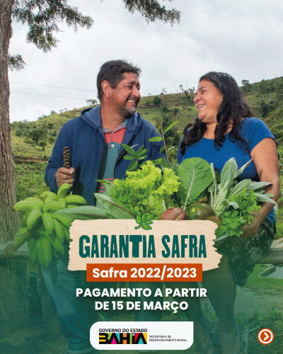 Garantia-Safra autoriza pagamento para mais de 216 mil agricultores familiares baianos