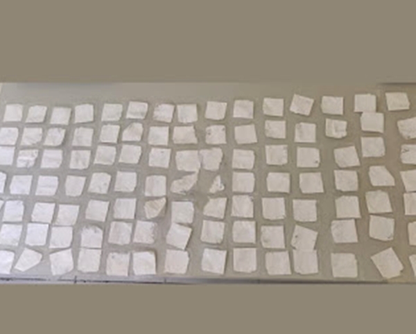 Dupla é presa com papelotes de cocaína em Itiúba; um suspeito tinha mandado em aberto