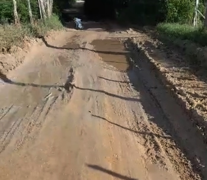 Empresário que gera renda para 300 famílias, ‘Ronaldo do Queijo’ sofre com estradas ruins em Queimadas e Itiúba