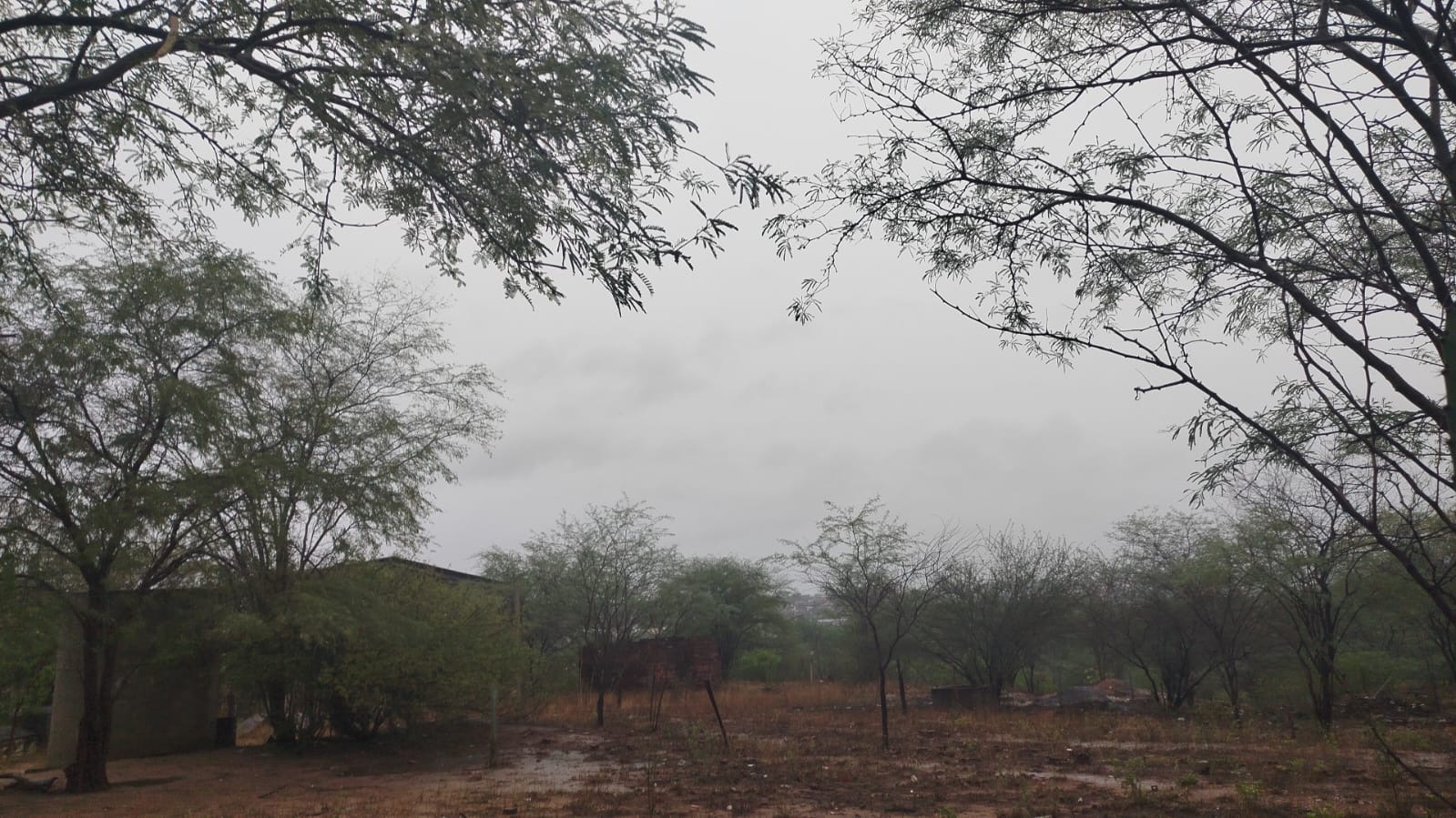 Felicidade do sertanejo: chuva cai em Queimadas e enche tanques