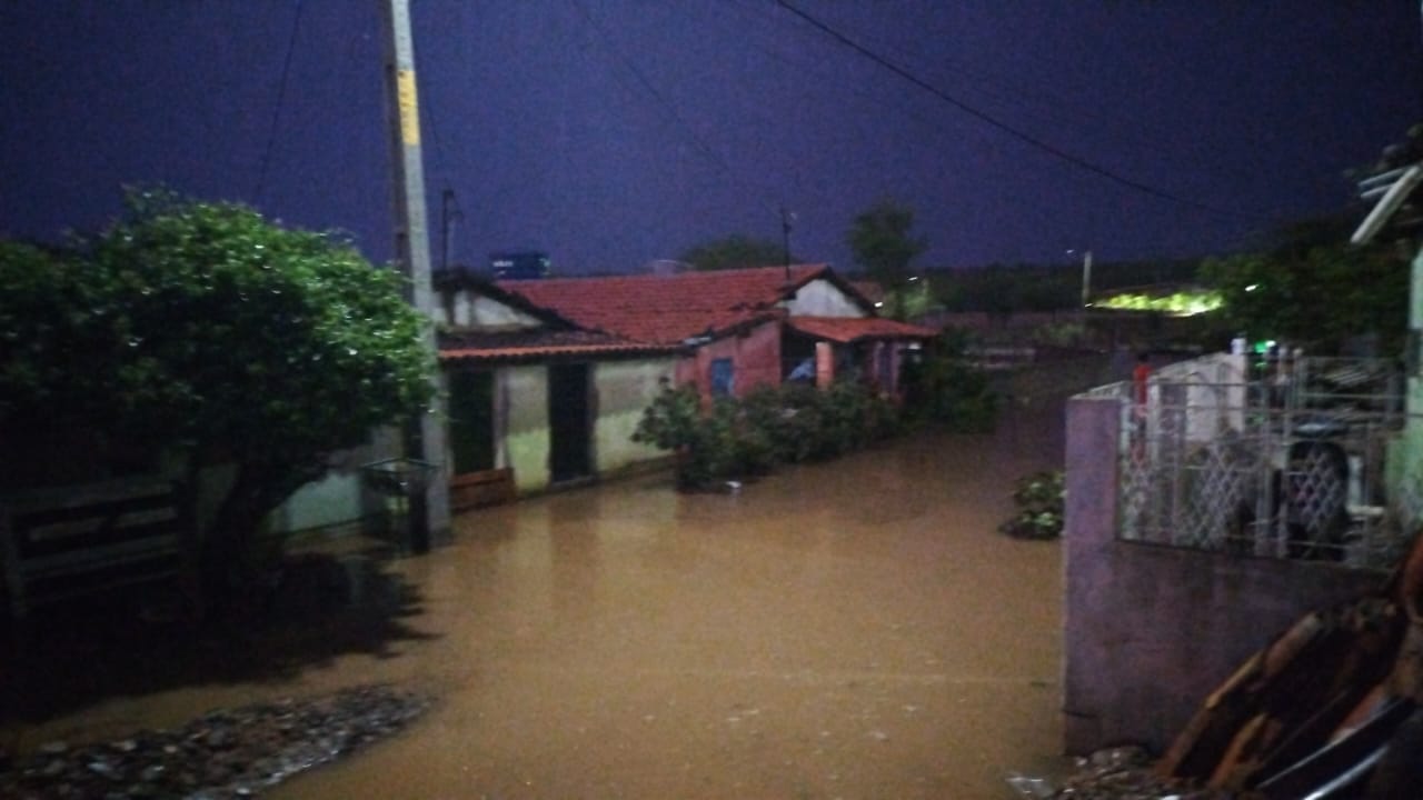 Ponte Nova: casas inundadas e cachorro arrastado pela correnteza