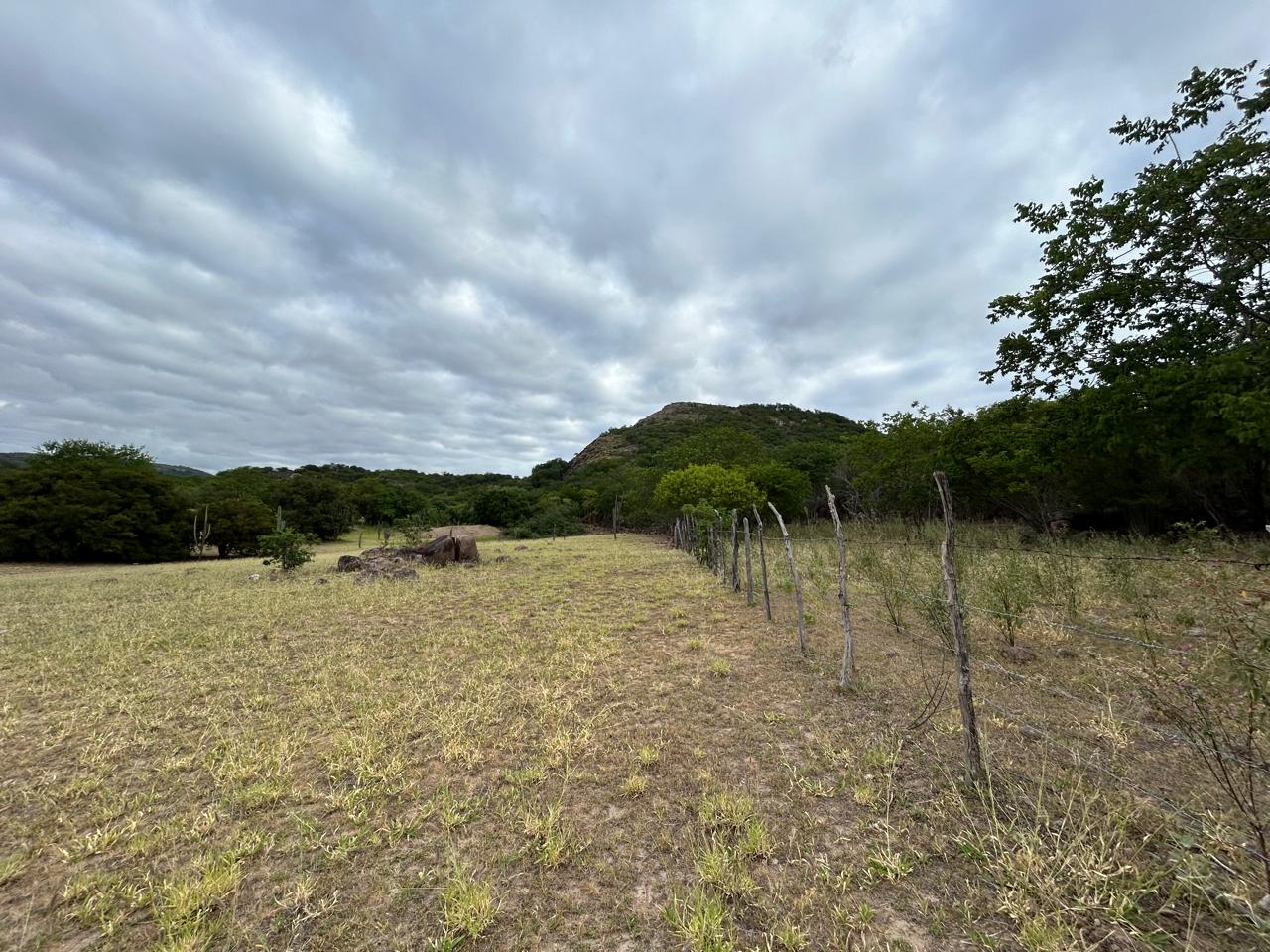 Caso Davi: pela primeira vez, reportagem vai ao local onde ossada de criança foi achada; assista