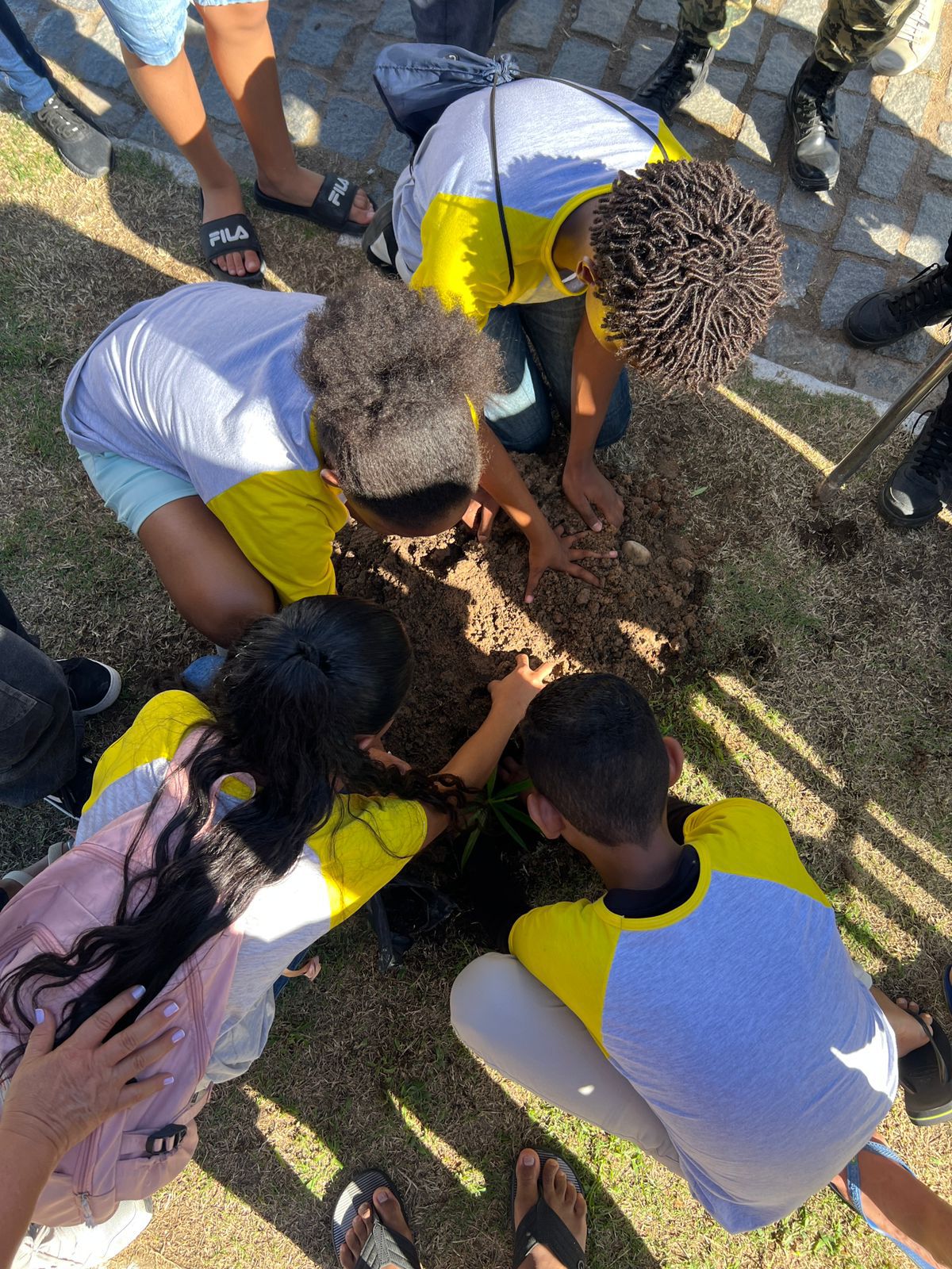 Veja fotos! Estudantes plantam mudas de plantas em Queimadas
