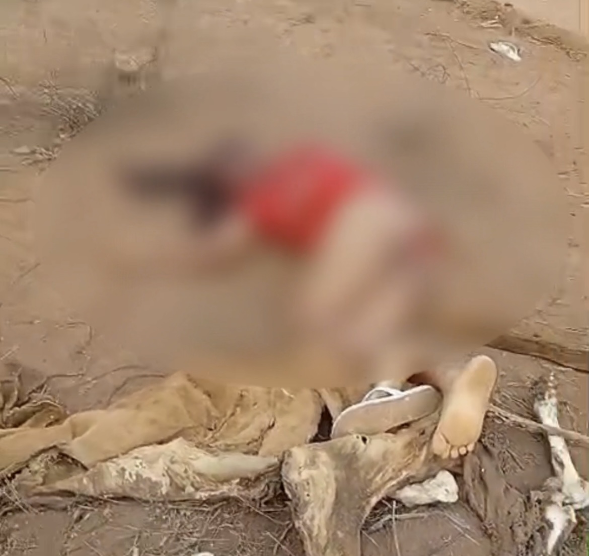 VÍDEO! Mulher é achada morta com requintes de crueldade no Norte da BA; assista