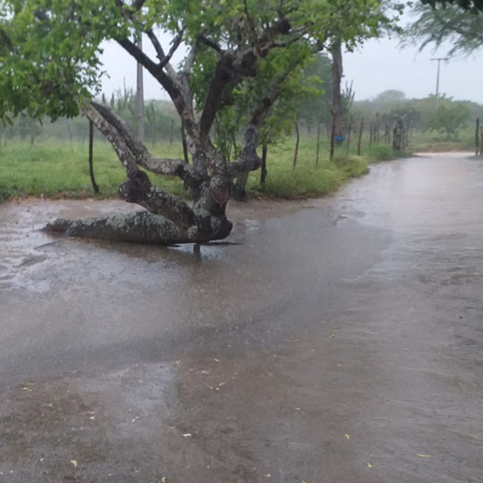 Chuva cai forte em vários pontos da Bahia; veja previsão