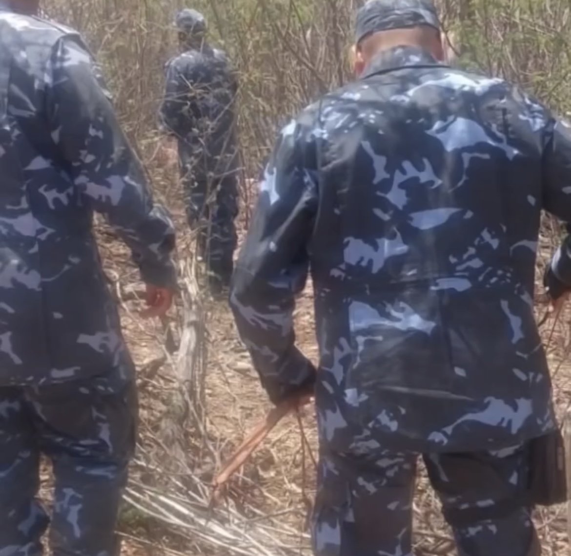 Caçadores desaparecem sem deixar rastros, na Bahia