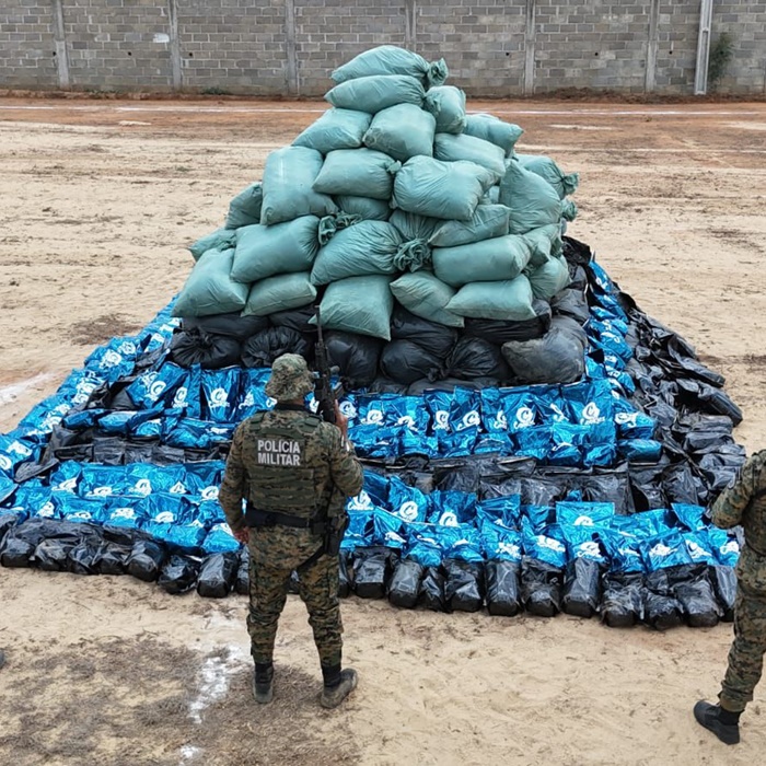 PM acha roça com 4,5 toneladas de maconha na Bahia